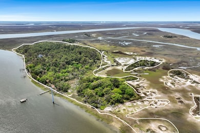 7 Sealuna Ln, Daufuskie Island, SC 29915 - photo 3