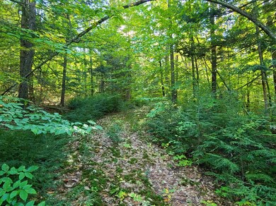 00 Crew Rd unit RR Lot 3, Brookfield, NH 03872 - photo 3