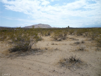 2345 Sunny Sands Dr, Joshua Tree, CA 92252 - photo 2