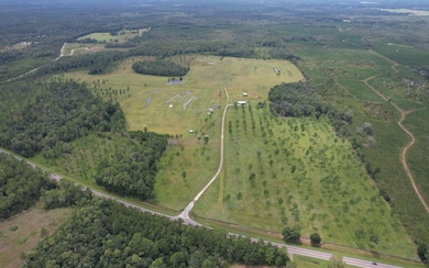 6246 N US Highway 441, Lake City, FL 32055 - photo 6