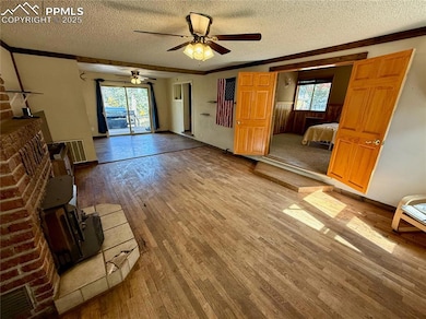 753 Will Stutley Dr, Divide, CO 80814 - photo 5