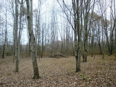 0 Meridian Rd.