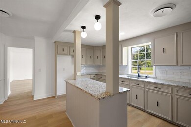 19 Nelson Cir, Jackson, MS 39212 - photo 5