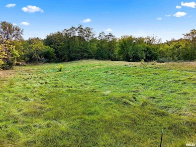 606 Thatcher Ln, Metamora, IL 61548 - photo 7