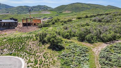 3-web-or-mls-DJI_0992