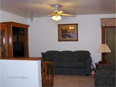 Living Room. Light and Bright. High end carpet or