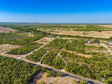 13106 Spring Creek Ln, San Angelo, TX 76904 - photo 5