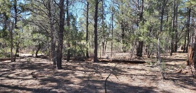 4281 W Falling Leaf Road