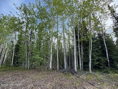 Mi 285 Parks Hwy, Nenana, AK 99744 - photo 3