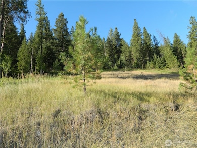 10 Sorona Way E, Tonasket, WA 98855 - photo 6