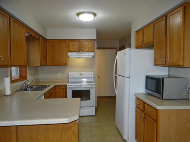 425 Vorndran Dr, Belleville, WI 53508 - photo 3