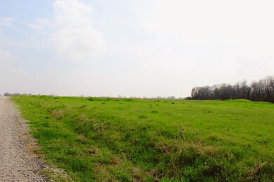 Tract 1 Sandswitch Rd, Ennis, TX 75119 - photo 7