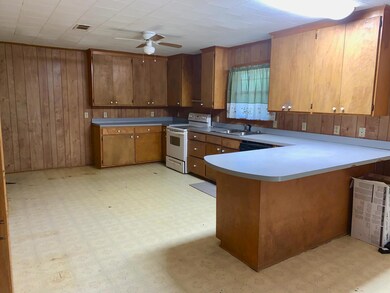 33 Dinan Salem Rd, Tylertown, MS 39667 - photo 5