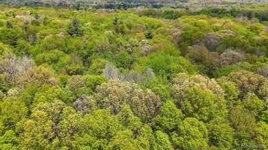 0 Michael St, Brandon Township, MI 48462 - photo 4