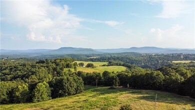 400 Fowler Spring Rd, Saint Joe, AR 72675 - photo 2