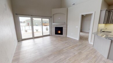 Living Area with Gas Fireplace