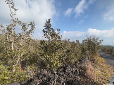 Native Ohia forest