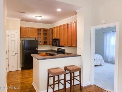 3804 River Front Place unit 202, Wilmington, NC 28412 - photo 5