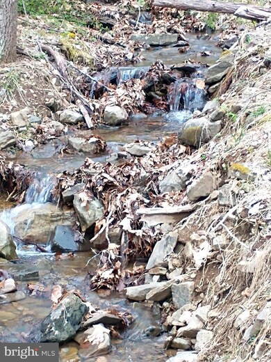 0 Horn Camp Rd unit WVHS115546, Rio, WV 26755 - photo 3