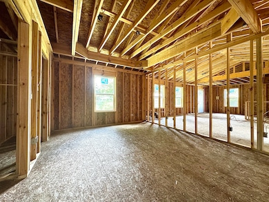 207 N Birchwood Dr, Muncie, IN 47304 - photo 5