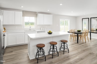 291 Gianna Dr, Angier, NC 27501 - photo 5