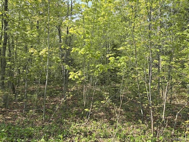 TBD B Gorton Rd, Franklin Township, MI 49930 - photo 2