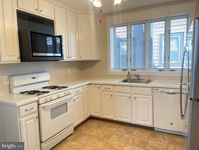 513 Jessamine Ave unit 1, Oaklyn, NJ 08107 - photo 6
