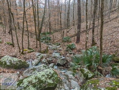 0 Dennis Creek Rd unit 158990, Talbotton, GA 31827 - photo 2