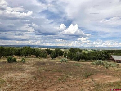 10350 Road 21 9, Cortez, CO 81321 - photo 5