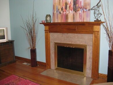 wood burning fireplace