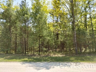 10451 Breezy R 22 Ln, Rapid River, MI 49878 - photo 4