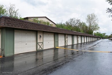 9199 North Rd unit E, Palos Hills, IL 60465 - photo 5