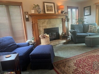 Living Rm 1 Fireplace