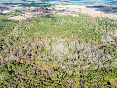 00 County Road 2237, Bagwell, TX 75426 - photo 2