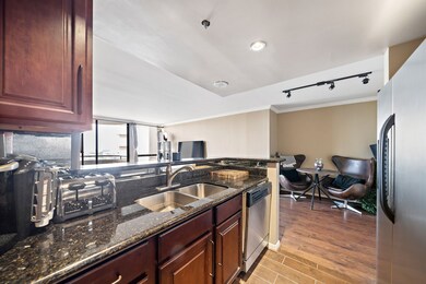 Sage Condominiums unit 1111, Houston, TX 77056 - photo 5