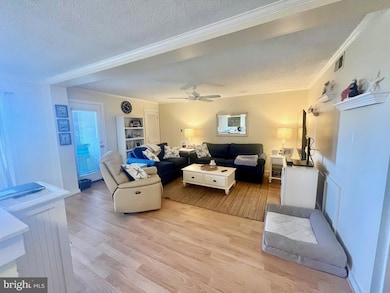 119 Old Landing Rd, Ocean City, MD 21842 - photo 4