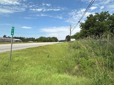 3109 U S 84, Cairo, GA 39828 - photo 6