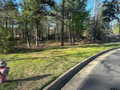 1408 Covewood Dr, Tyler, TX 75703 - photo 6