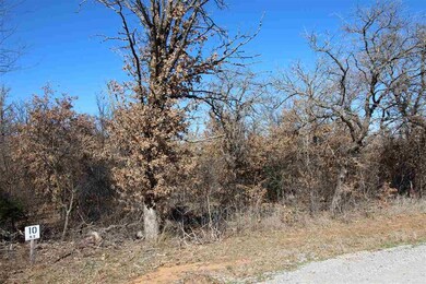 1061 Woodland Dr, Cache, OK 73527 - photo 4