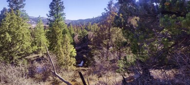 IMG_20250324_170938637_HDR