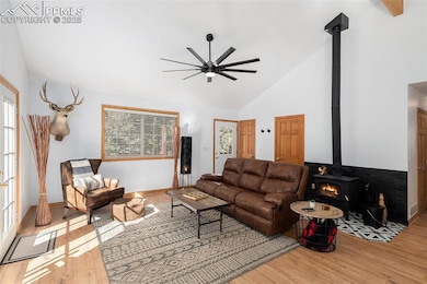 Living room featuring a wood stove, light wood-style floors, high vaulted ceiling, healthy amount of natural light, and a ceiling fan