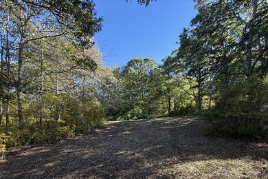 1 Crowberry Ln unit 19, Chilmark, MA 02535 - photo 7