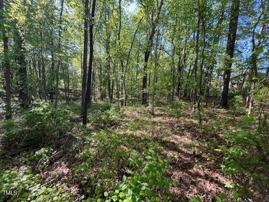 4300 Cheek Woods looking West