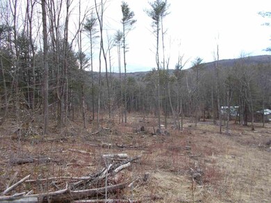 0 Chestnut St unit 4687053, Claremont, NH 03743 - photo 7