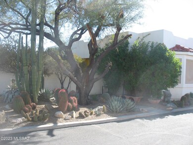 6140 Red Sky Front Yard