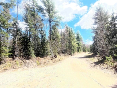 480 Acres Off Cr Aaa Rd, Michigamme, MI 49861 - photo 3