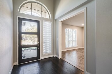 3723 Lake Falls Dr, Fulshear, TX 77042 - photo 4