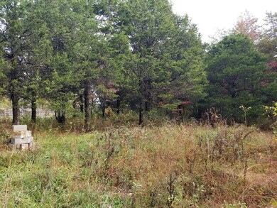 385 Doug Luna Rd, Walling, TN 38587 - photo 6