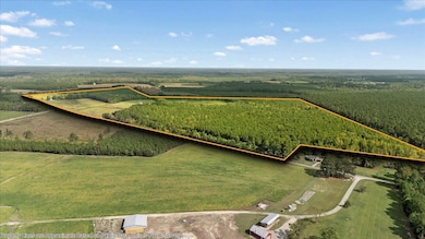 1354 Bryantown Rd, Rich Square, NC 27869 - photo 2