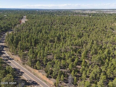 0 E Woolford Rd, Show Low, AZ 85901 - photo 2